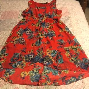 Beautiful Flowered Dress!